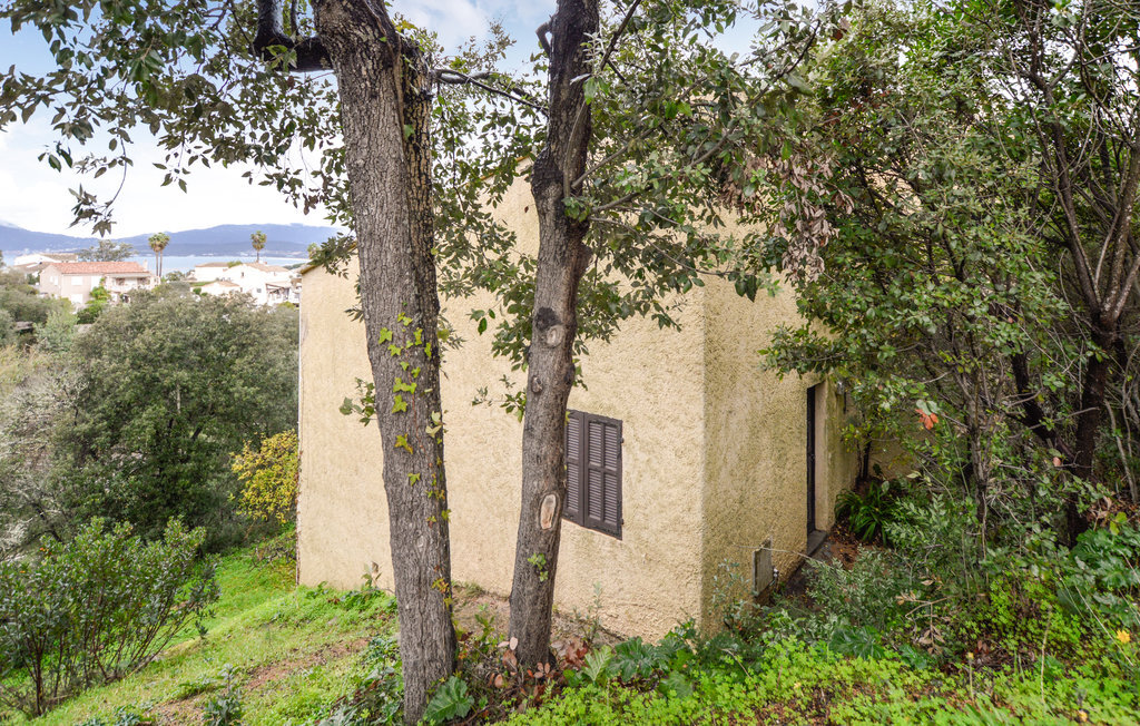 Maison 45 m² vue mer à Grosseto-Pugna, piscine - Photo 8