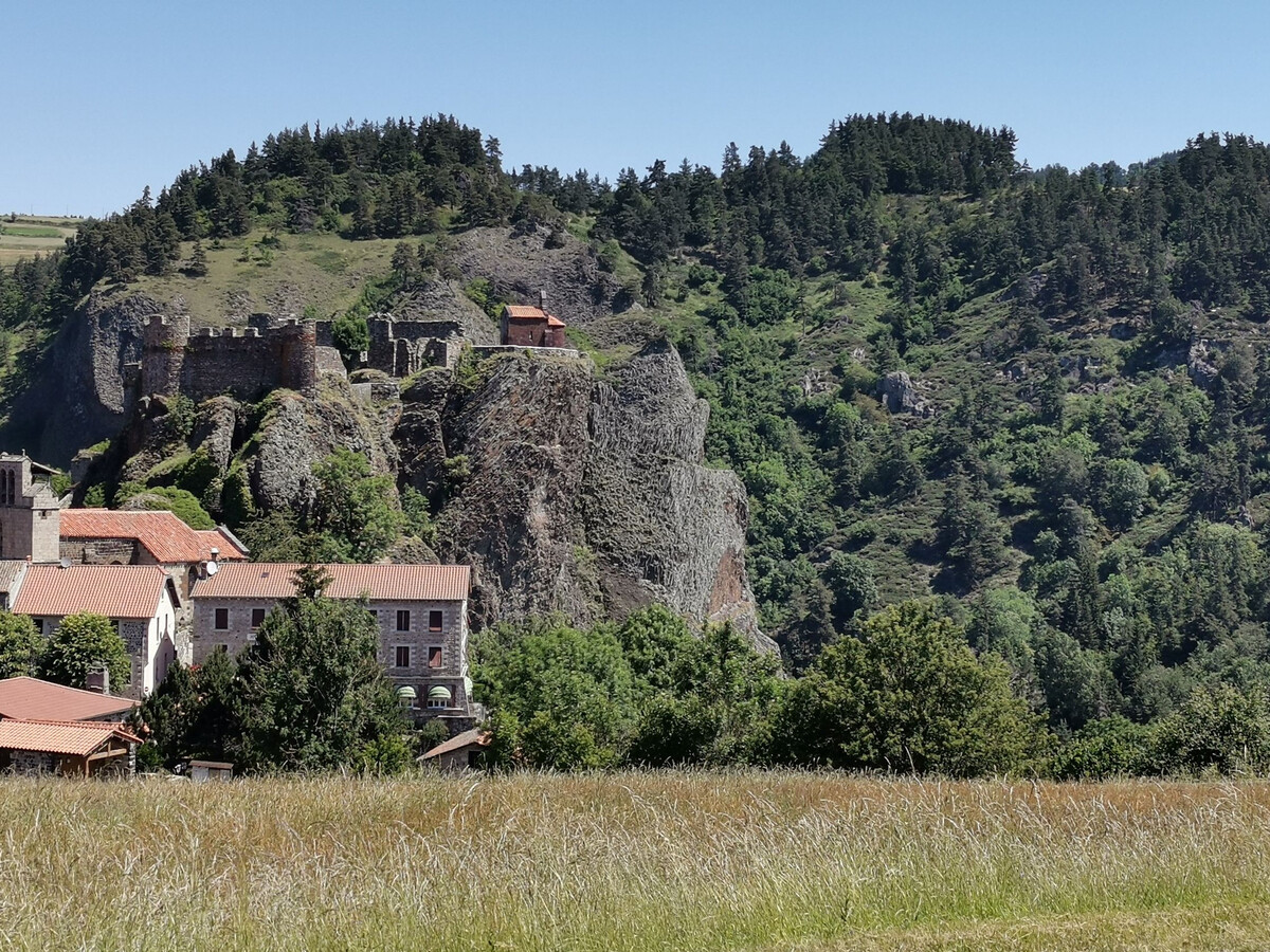 Gîte 8 pers. Arlempdes : ancienne ferme spa, 3 ha - Photo 26