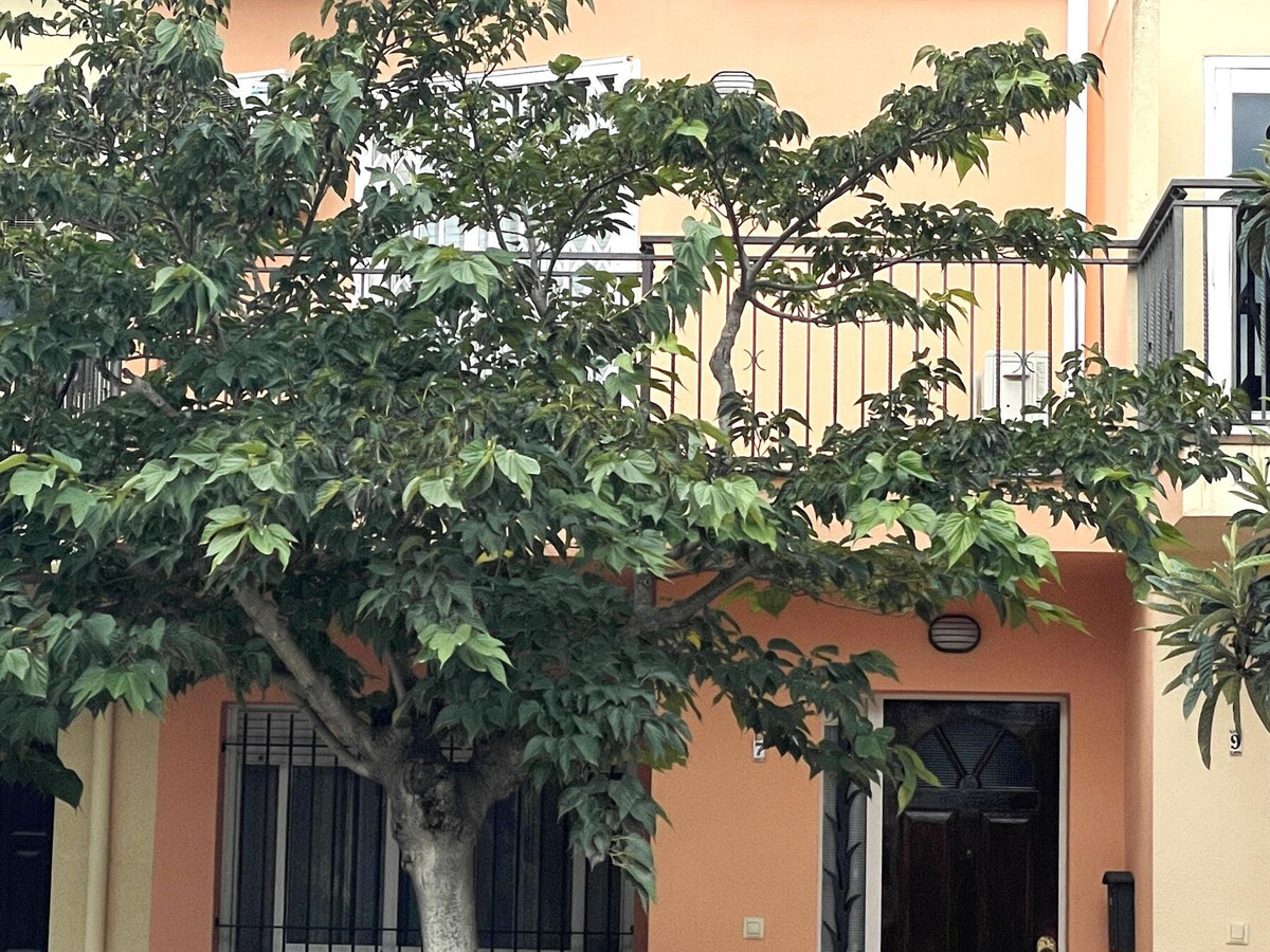 Maison 6 pers. vue rivière Fluvià, centre Sant Pere - Photo 27
