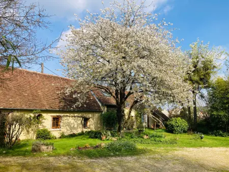 Gîte Tout Confort à Parassy : Proche Bourges et Sancerre, Idéal Randonnées et Découvertes - Photo 1