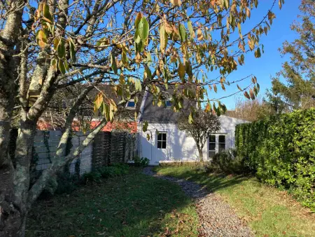 Maison 4 pers. avec jardin clos et terrasse au Palais - Photo 8
