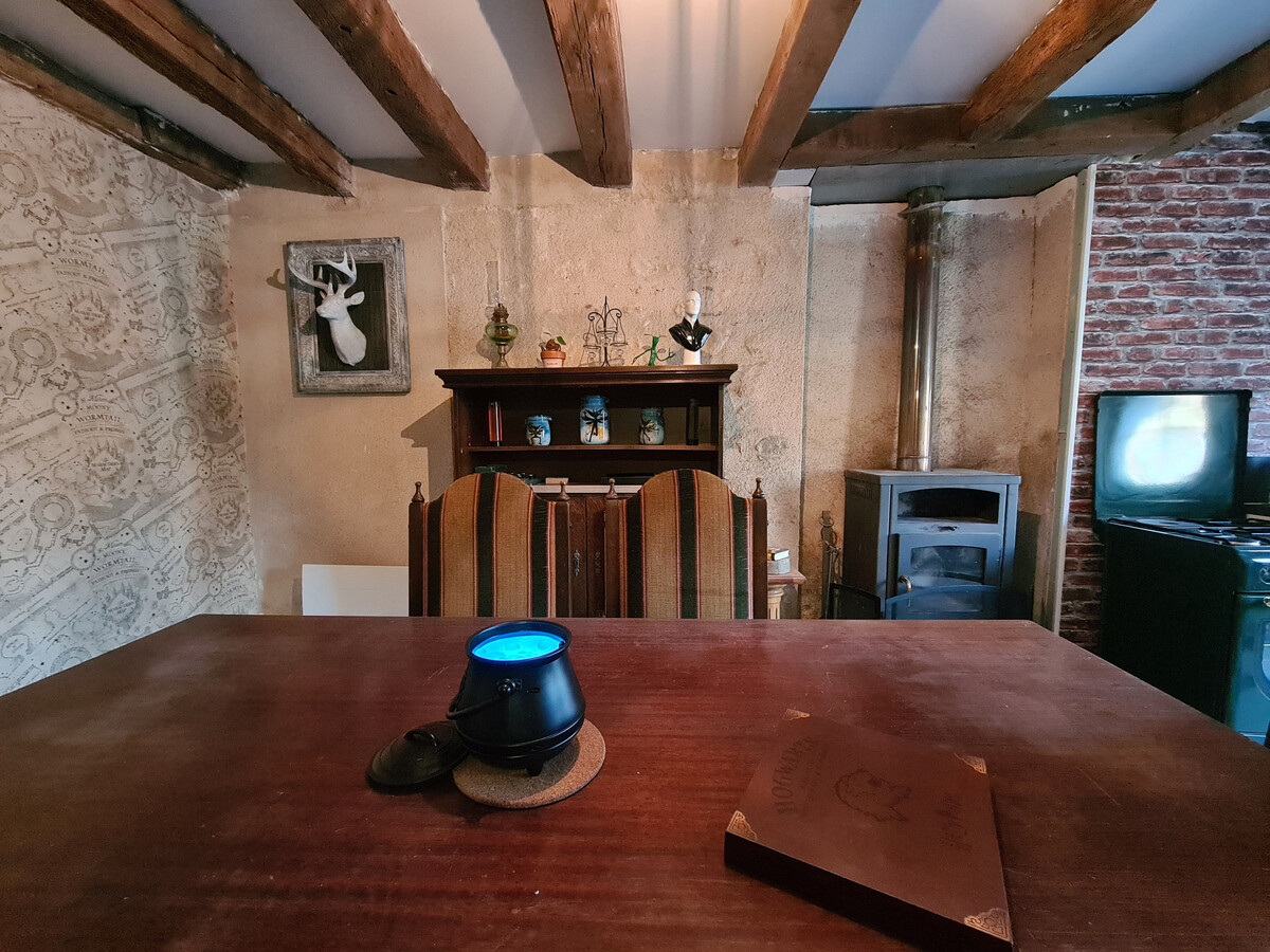 Gîte thème sorciers à Chitray, piscine et forêt - Photo 14