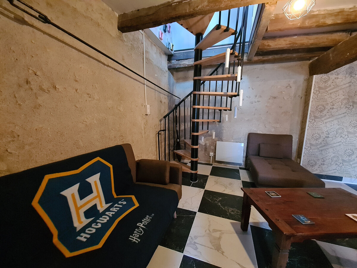 Gîte thème sorciers à Chitray, piscine et forêt - Photo 22