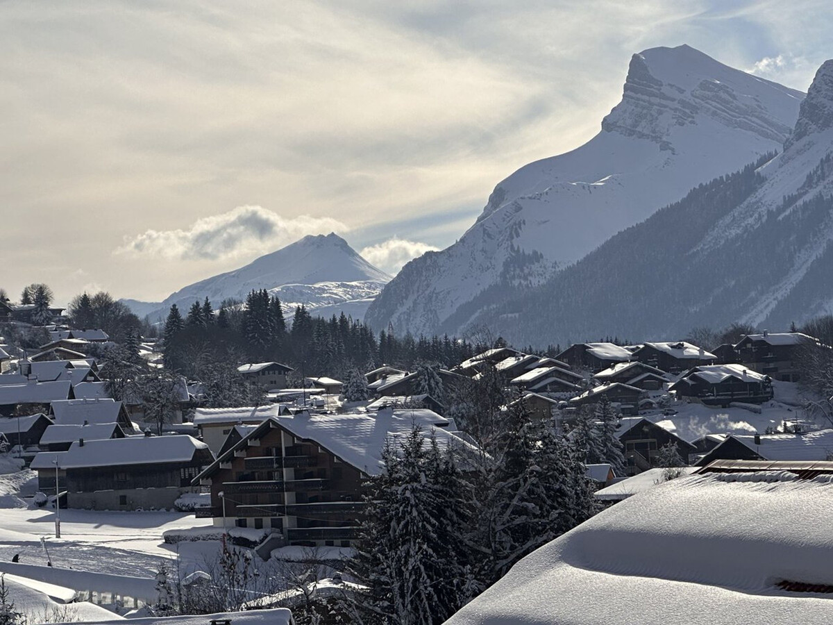 Chalet 165 m² aux Carroz, 4 ch., balcon sud panoramique - Photo 16