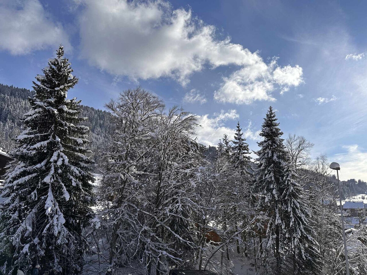 Chalet 165 m² aux Carroz, 4 ch., balcon sud panoramique - Photo 20