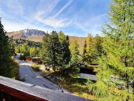Chalet cosy proche pistes avec Wifi, Chalet 8 personnes à La Plagne - Photo 17