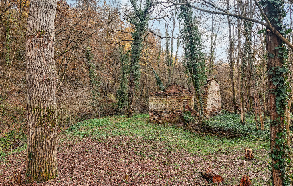 Ancienne ferme avec sauna et piscine à Marquefave - Photo 16