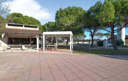 Bungalow Adriatico - Maison 4 pers. face à la mer : photo 12