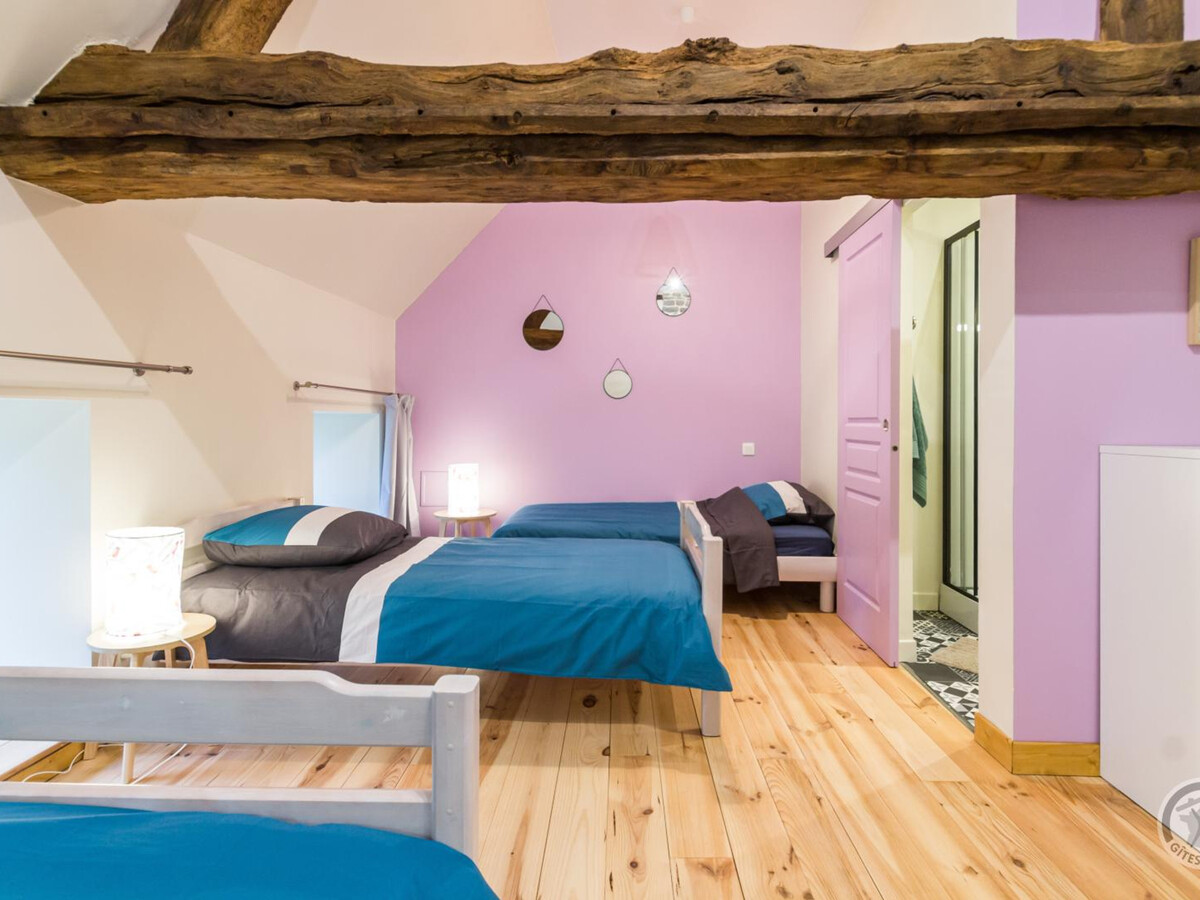 Gîte 9 pers. en ancien pressoir normand, jardin clos - Photo 20