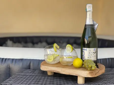 Gîte vignoble de Champagne, 6 pers., cour 100 m² - Photo 19