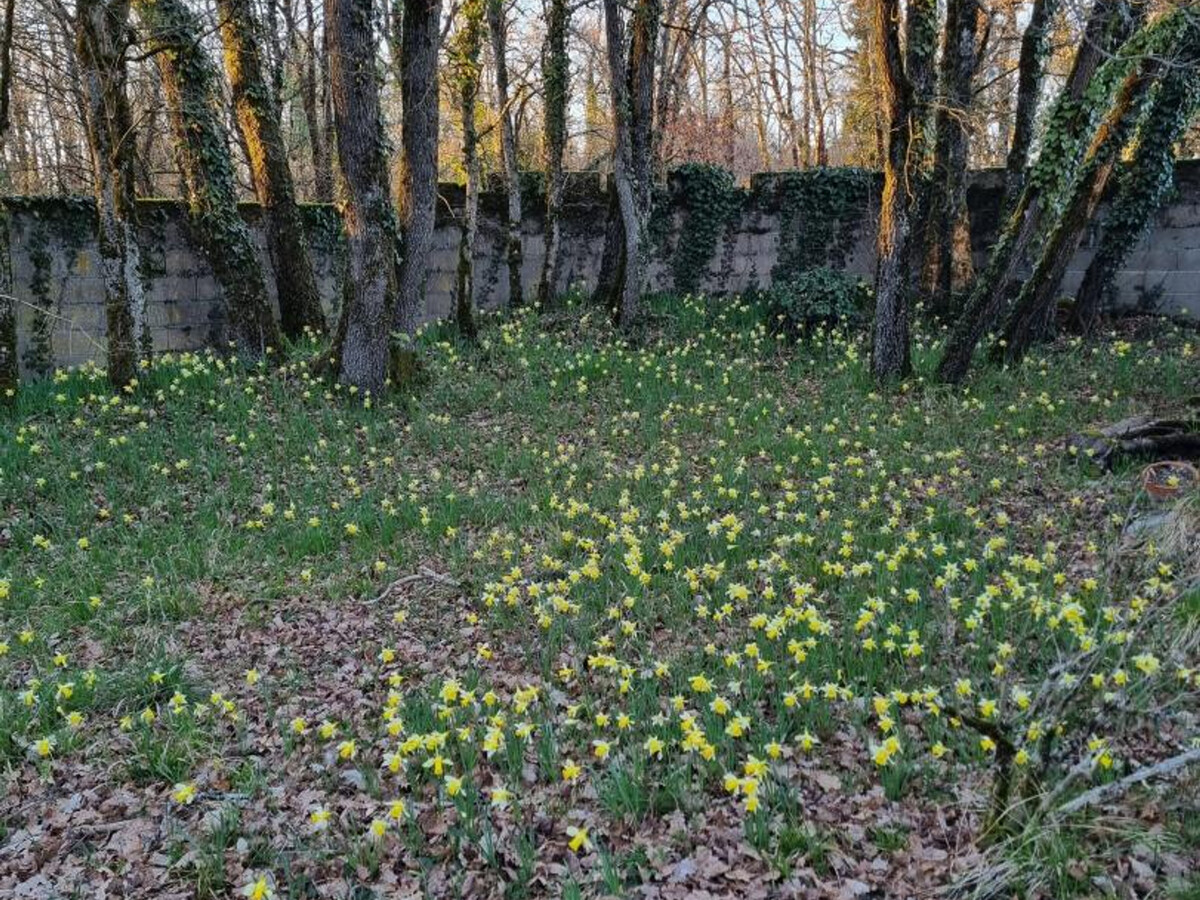 Gîte plain-pied 5 pers. à Puyréaux, jardin 2000m² et forêt - Photo 22