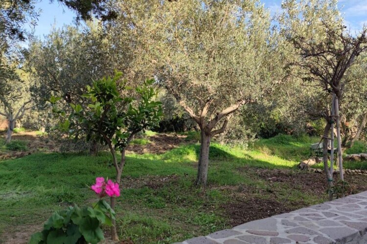 Casa Basalto Uliveto – Maison Orosei vue mer - Photo 15