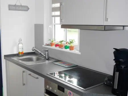 Maison mitoyenne neuve avec jardin à Le Palais - Photo 5