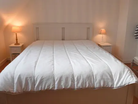 Maison mitoyenne neuve avec jardin à Le Palais - Photo 10