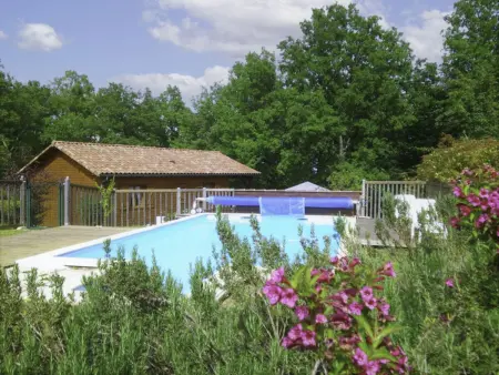 Le Noisetier - Chalet 3 pièces avec piscine à Loupiac - Photo 28