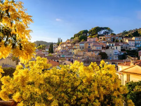 Gazanias, Maison 8 personnes à Bormes les Mimosas - Photo 34