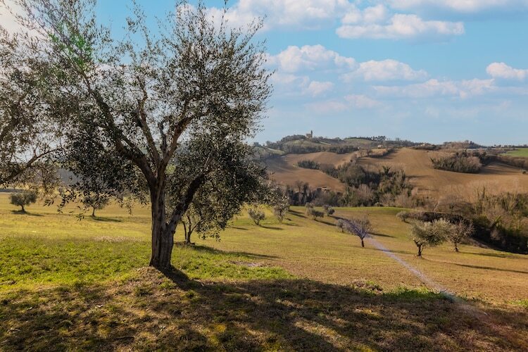 Villa Francesca – Maison 9 pers. à Moregnano - Photo 32
