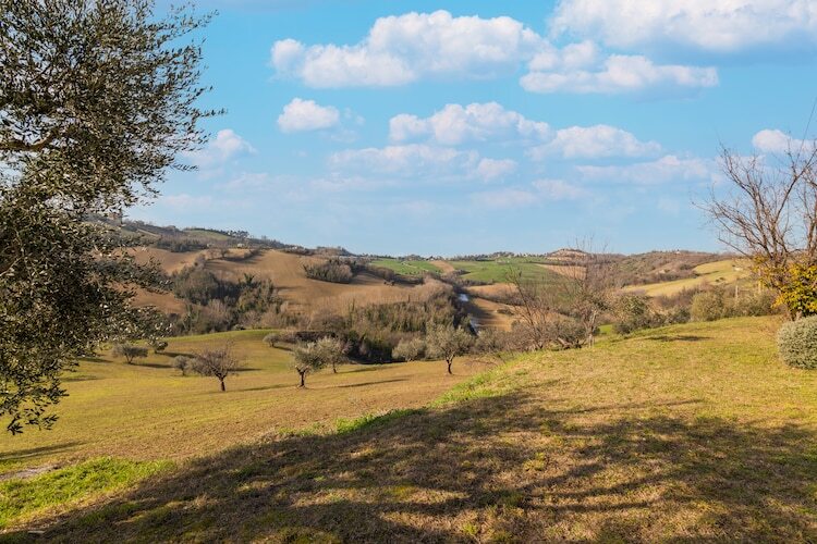 Villa Francesca – Maison 9 pers. à Moregnano - Photo 35