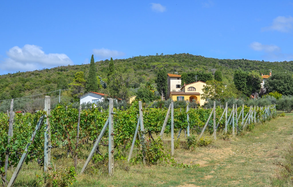 Maison 4 personnes à Castiglion Fiorentino - Photo 6