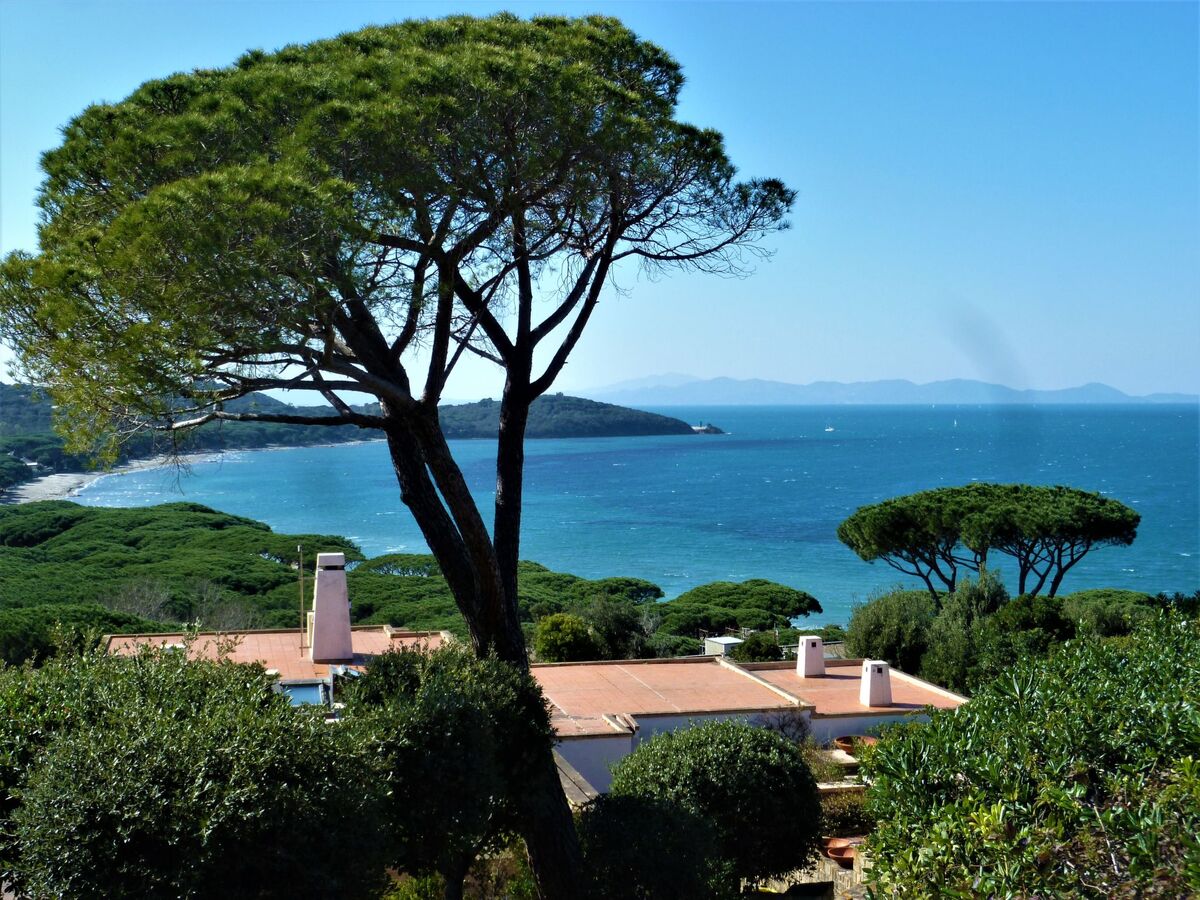 Villa Marzia Mare & Golf – Punta Ala, 4 chambres - Photo 5