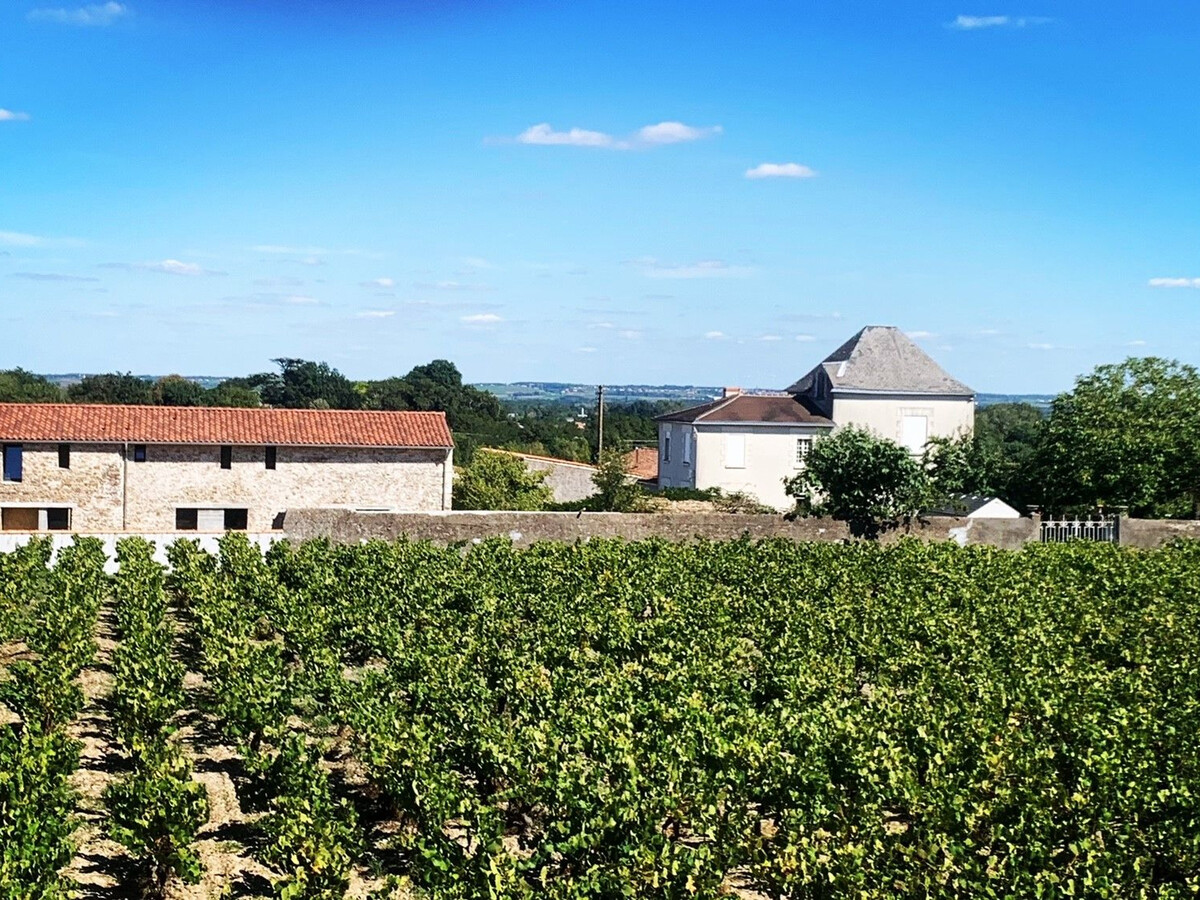 Gîte en ancienne grange viticole à La Haie-Fouassière - Photo 11