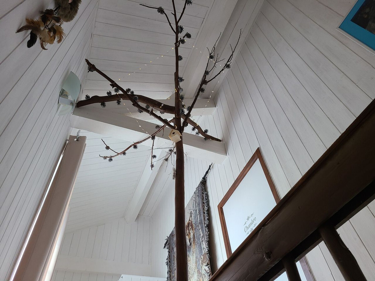 Gîte indépendant Taintrux : 4 pers., randos, poêle à bois - Photo 21
