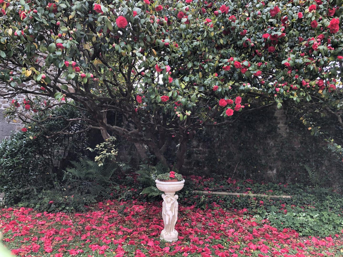 Gîte romantique 4 pers. à Ducey-les-Chéris - Photo 28