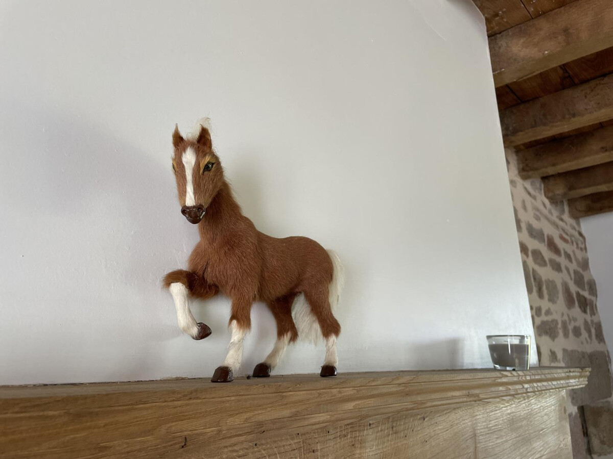 Gîte ferme 18ème siècle avec piano à Ygrande - Photo 11