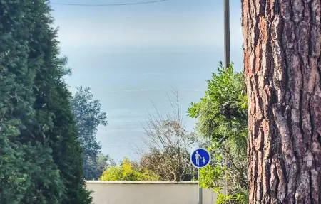 Maison vue mer à Meschers-sur-Gironde, 50 m² : photo 2