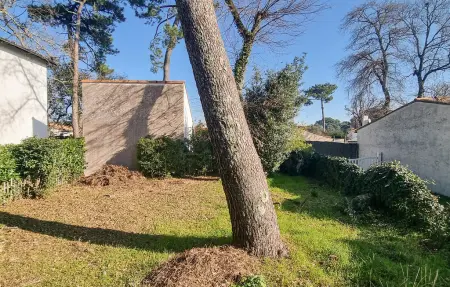 Maison vue mer à Meschers-sur-Gironde, 50 m² : photo 8