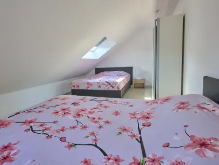 Maison de Pierre de Pierre à Lierneux, vue 360° sur les collines : photo 16