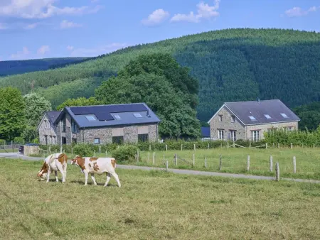 Maison de Pierre de Pierre à Lierneux, vue 360° sur les collines : photo 40