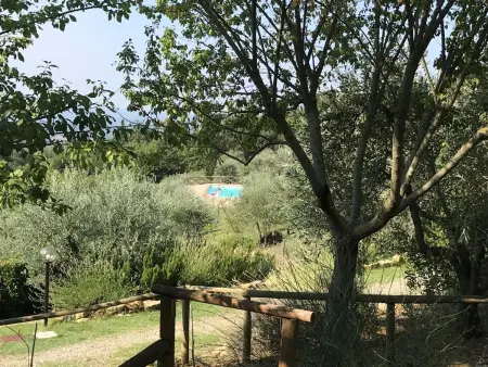 Casa Patrizia, Maison 4 personnes à Castellina in Chianti - Photo 37