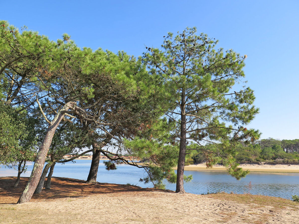 Maison Corsaires à Vieux-Boucau, 500 m de la plage - Photo 30