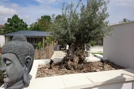 Villa La Forge - Forge rénovée 350m² spa & piscine : photo 33