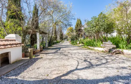 Maison 20 personnes à Cazalla de la Sierra - Photo 8