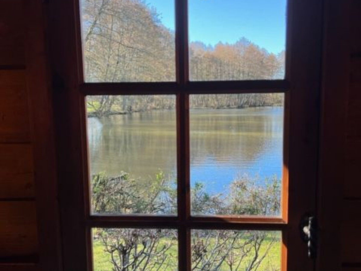 Chalet à l'étang - Pêche No Kill et nature en Perche - Photo 17