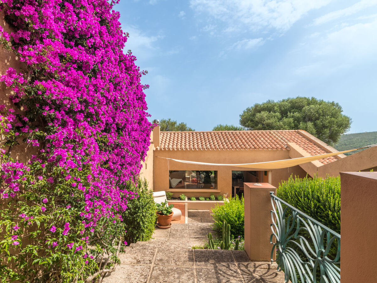 Maison Beatrice à Palau, 8 pers., terrasse avec vue mer - Photo 31