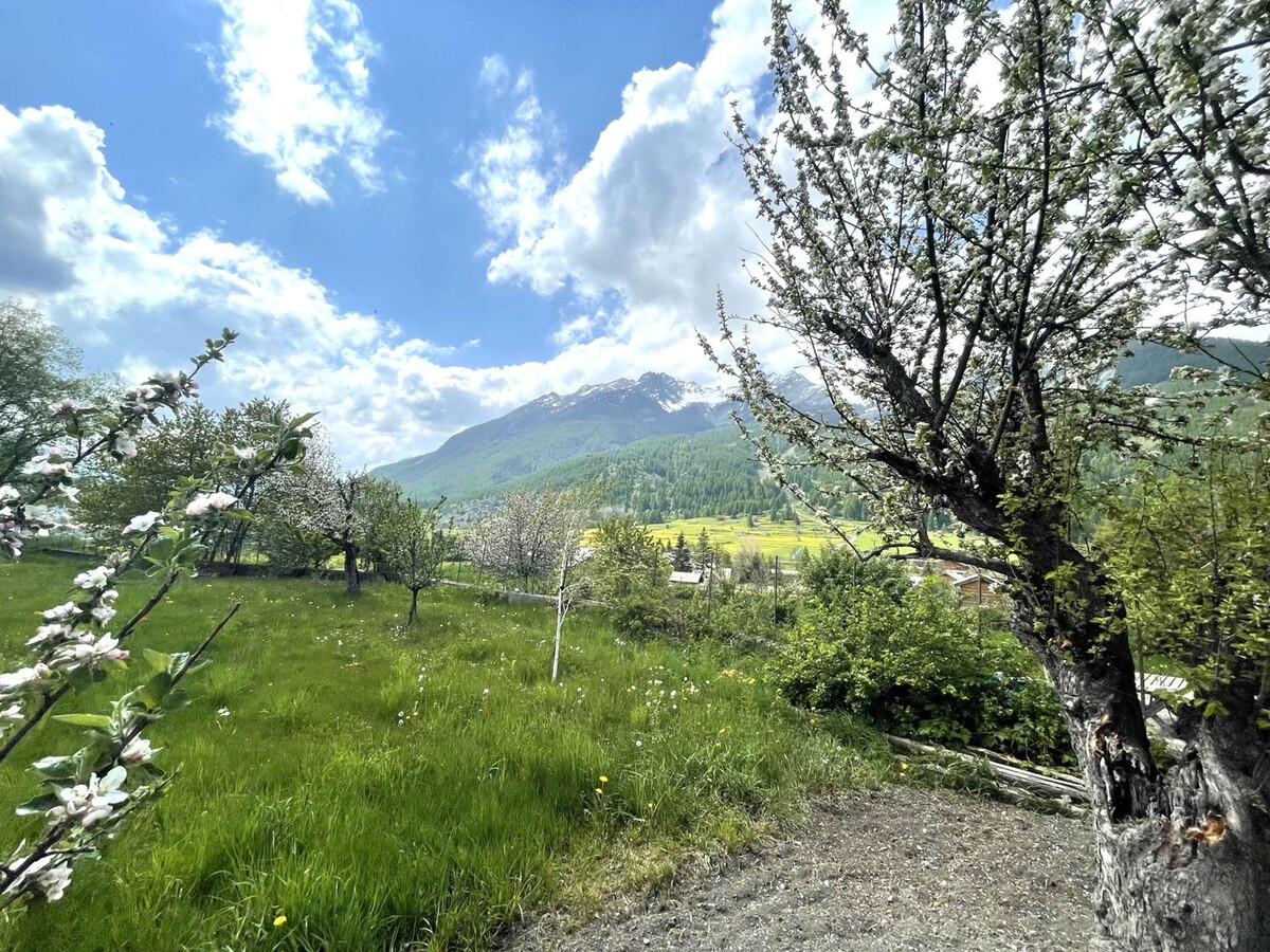 Appartement montagne Le Monêtier-les-Bains, jardin et animaux - Photo 20