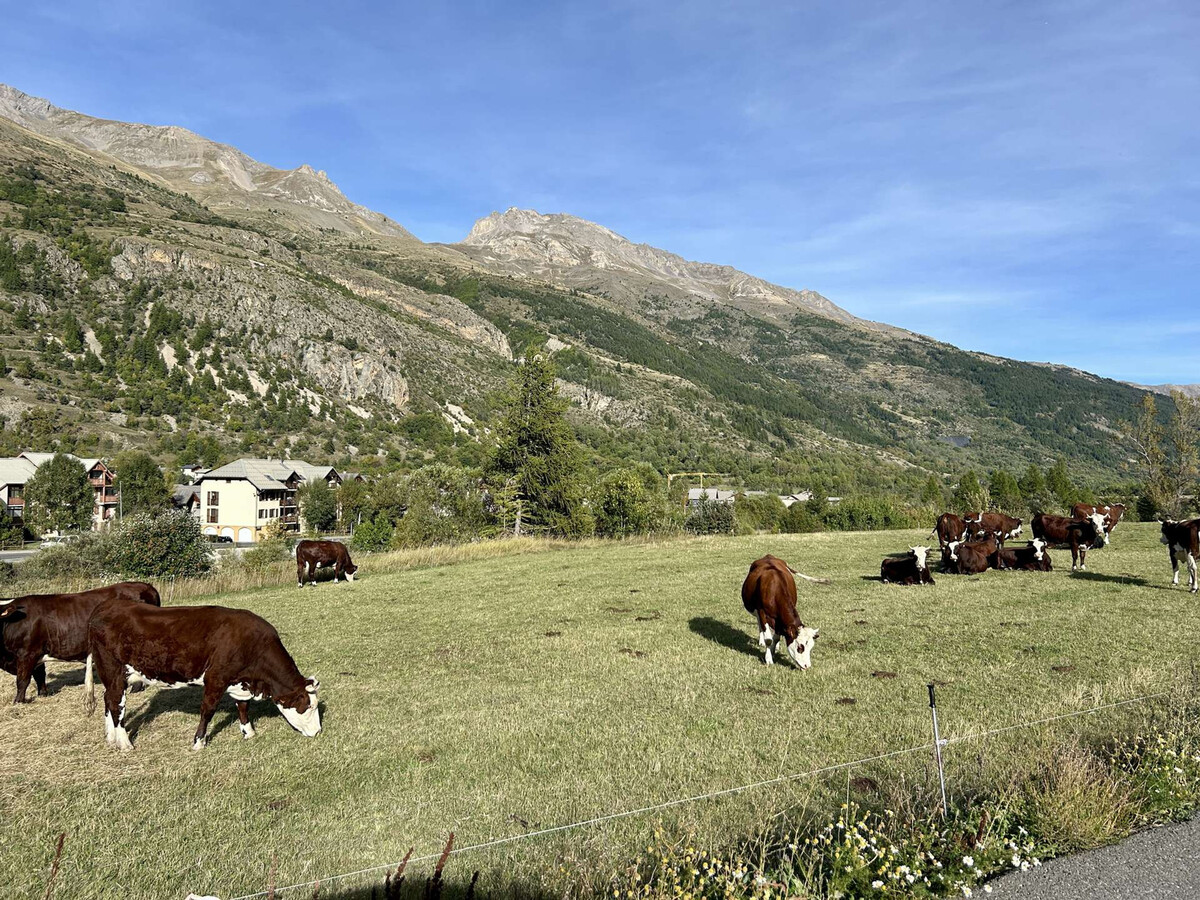 Appartement montagne Le Monêtier-les-Bains, jardin et animaux - Photo 21