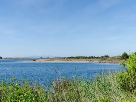 Villa 6 pers à Gruissan, terrasse, barbecue, parking : photo 22