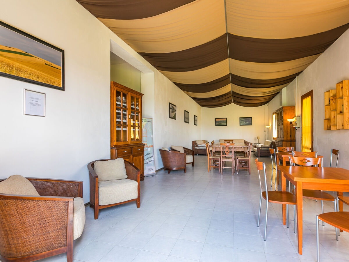 Gîte Casalsole – Domaine agricole dans les collines de Vinci - Photo 5