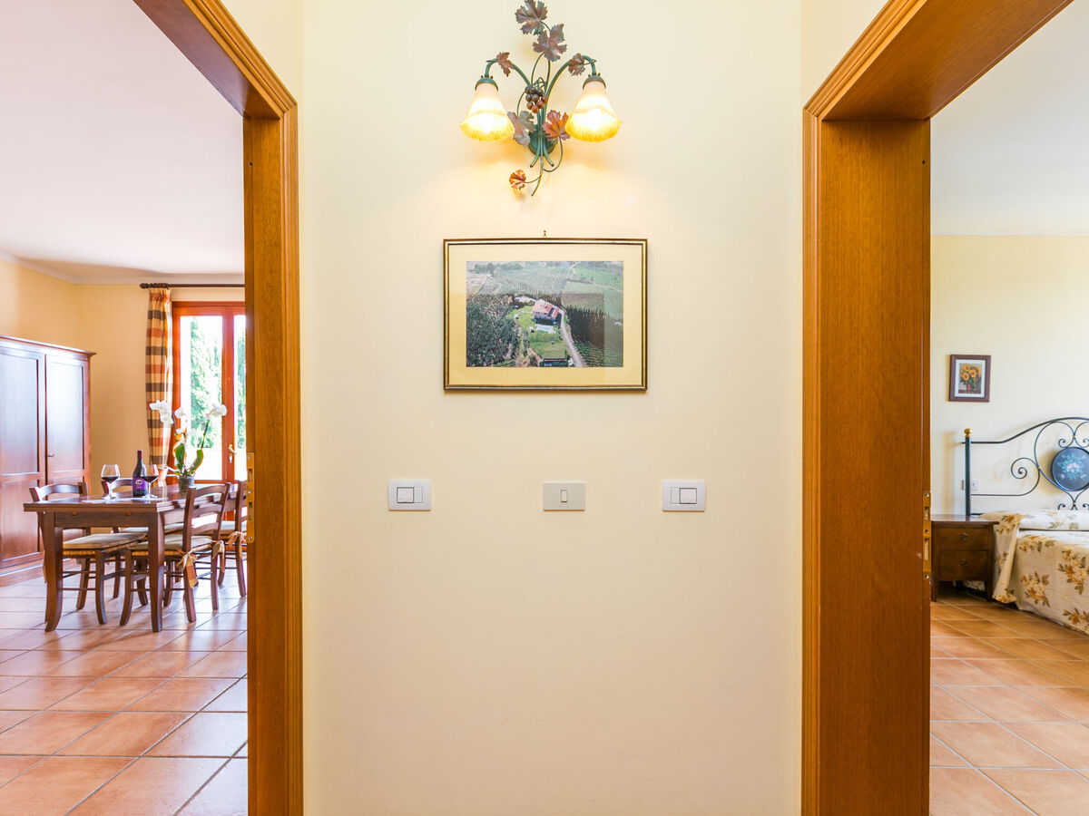 Gîte Casalsole – Domaine agricole dans les collines de Vinci - Photo 15