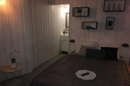 Villa La forge – Maison loft 16 pers, piscine & spa : photo 21