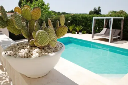 Luxury Vale Villa Locorotondo, Villa en Apulie avec Piscine et Barbecue - Photo 4