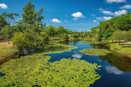Résidence Le Petit Pont 3 – Maison 6 pers. près du lac : photo 16