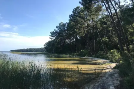 Résidence Le Petit Pont 3 – Maison 6 pers. près du lac : photo 18