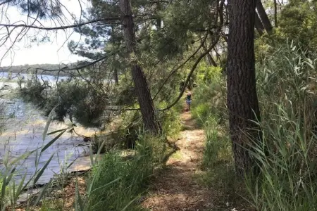 Résidence Le Petit Pont 3 – Maison 6 pers. près du lac : photo 19