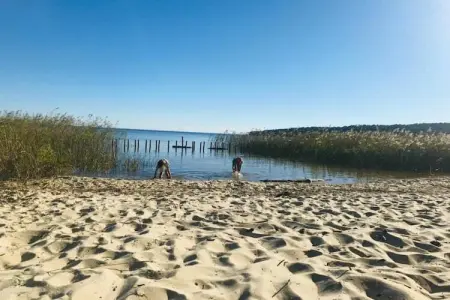 Résidence Le Petit Pont 3 – Maison 6 pers. près du lac : photo 25