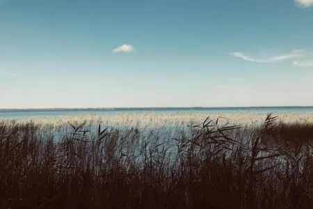 Résidence Le Petit Pont 3 – Maison 6 pers. près du lac : photo 31